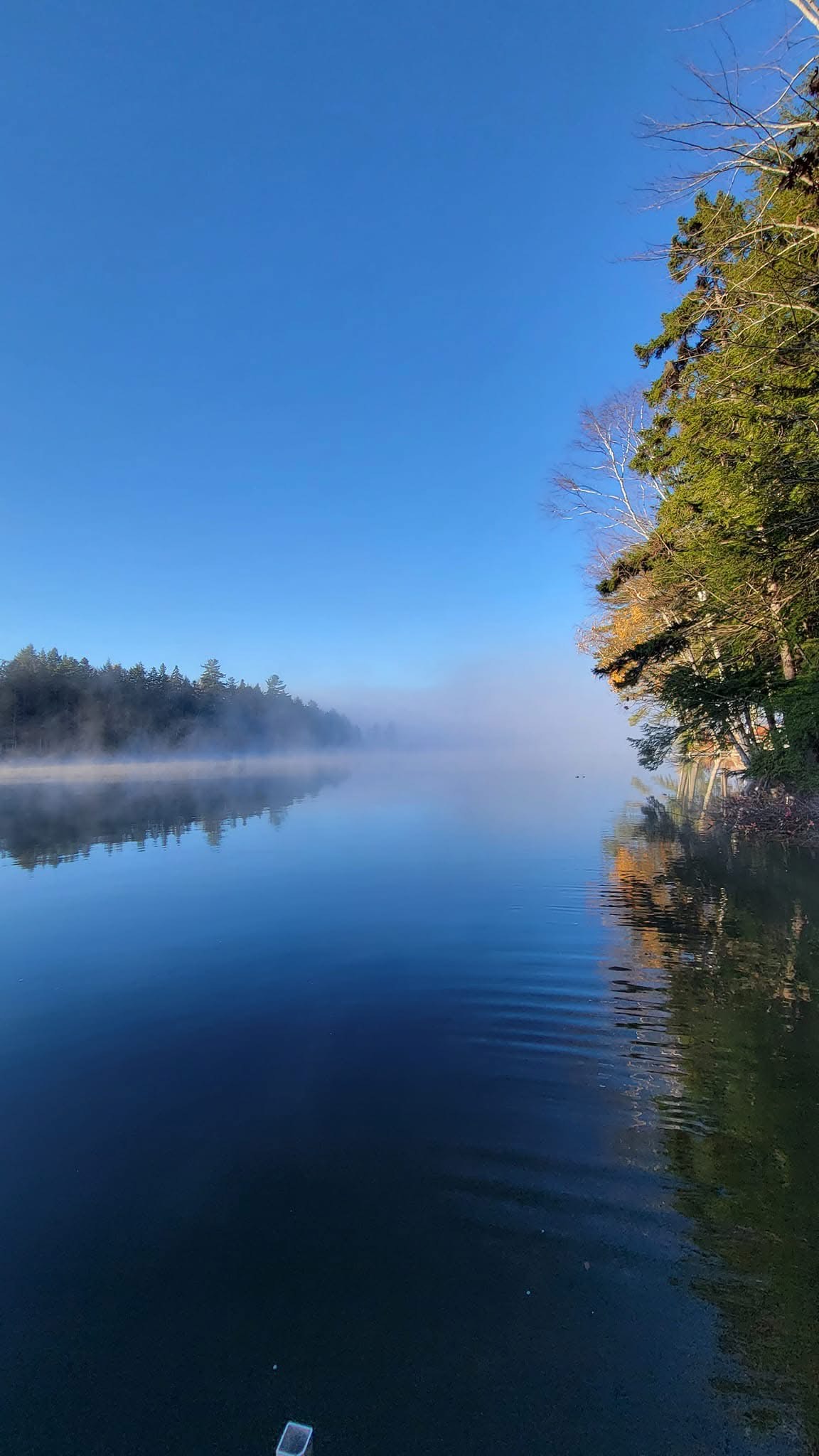 <a href="https://blsra.neighborhood.online/about/resources">Resources</a> 9caf7043-d795-4298-9501-ebcdb312b7e0.jpg