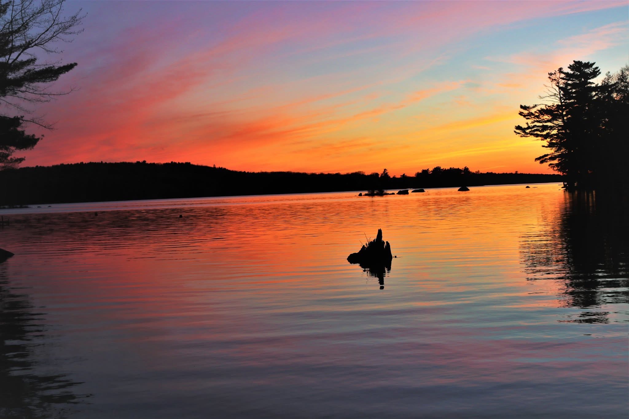 <a href="https://blsra.neighborhood.online/hoa/documents">Document Library</a> 20d36ca7-e0d2-45dd-9618-596dd7b88e95.jpg